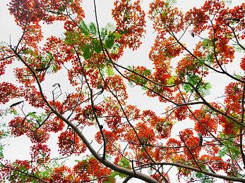 深入地狱！《暗黑破坏神4》后期内容游玩介绍